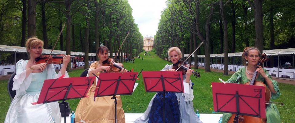 Hochzeit Damen Streichquartett  Hochzeit Damen Streichquartett