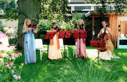 Streichquartett Gartenfest